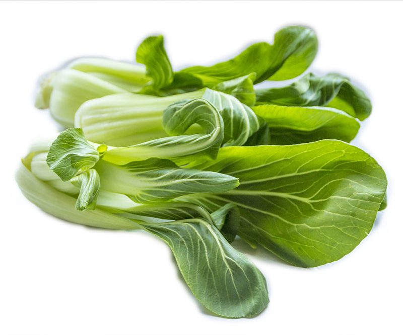 PAK CHOI UN