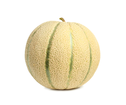 MELÓ CANTALOUP KG