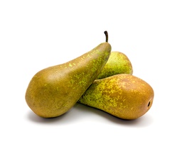 PERA CONFERÈNCIA KG