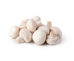 XAMPINYÓ BLANC KG