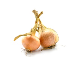 CEBA SEMISECA NORMAL I BLANCA KG