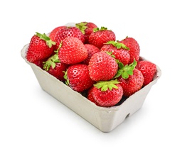 MADUIXOT SAFATA UN kg