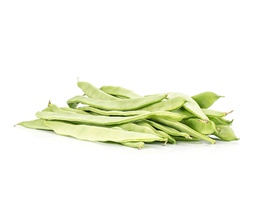 MONGETA TENDRA CIRCELL KG