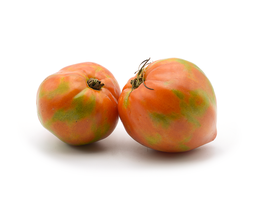 TOMÀQUET COR DE BOU KG